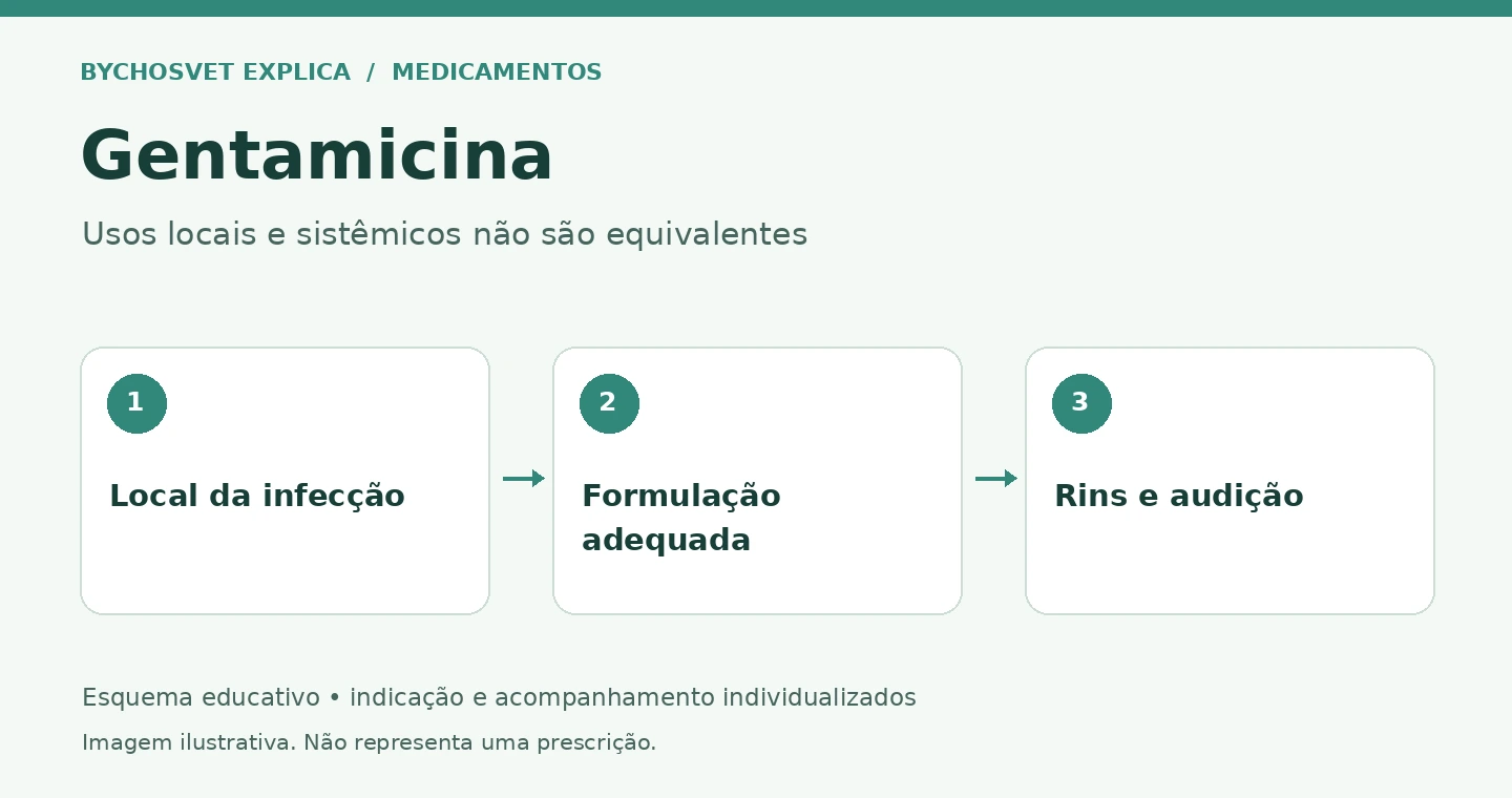 Gentamicina: Local da infecção, Formulação adequada, Rins e audição
