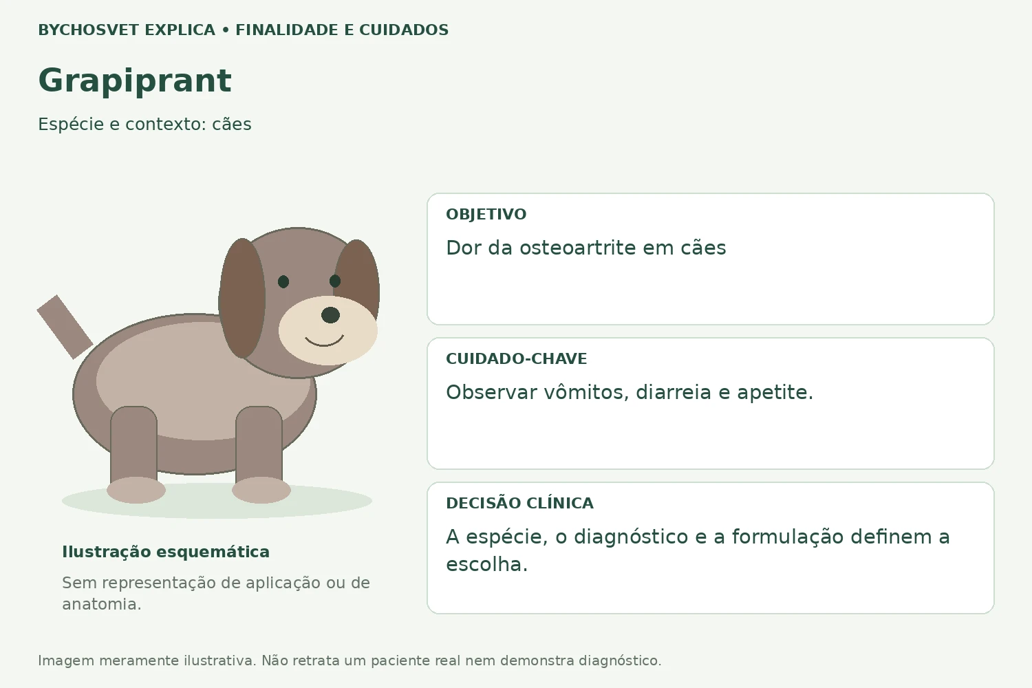 Finalidade e cuidados de Grapiprant