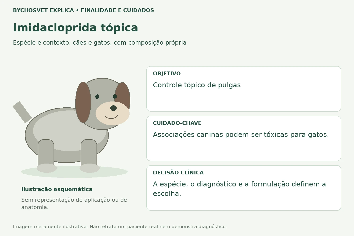 Finalidade e cuidados de Imidacloprida tópica