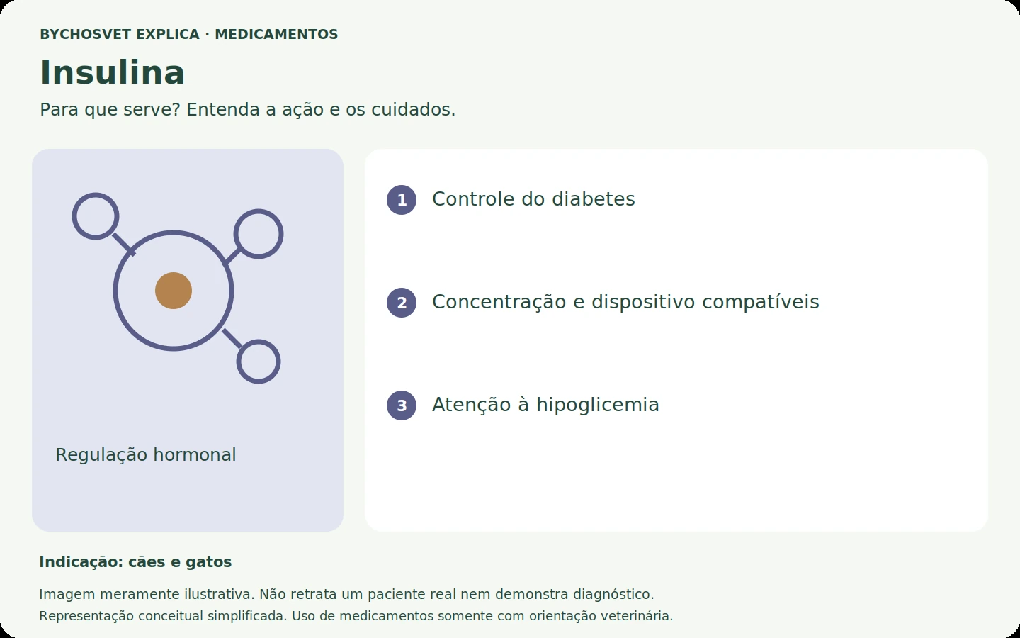 Insulina: esquema em português sobre ação, indicações e cuidados.