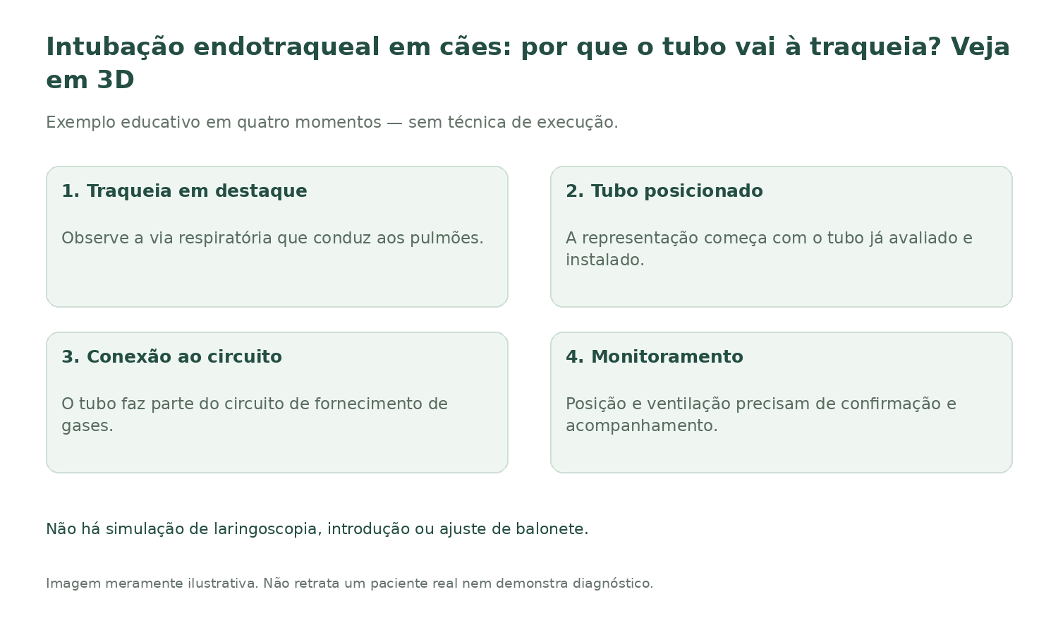 Resumo ilustrado: Intubação endotraqueal em cães: por que o tubo vai à traqueia? Veja em 3D