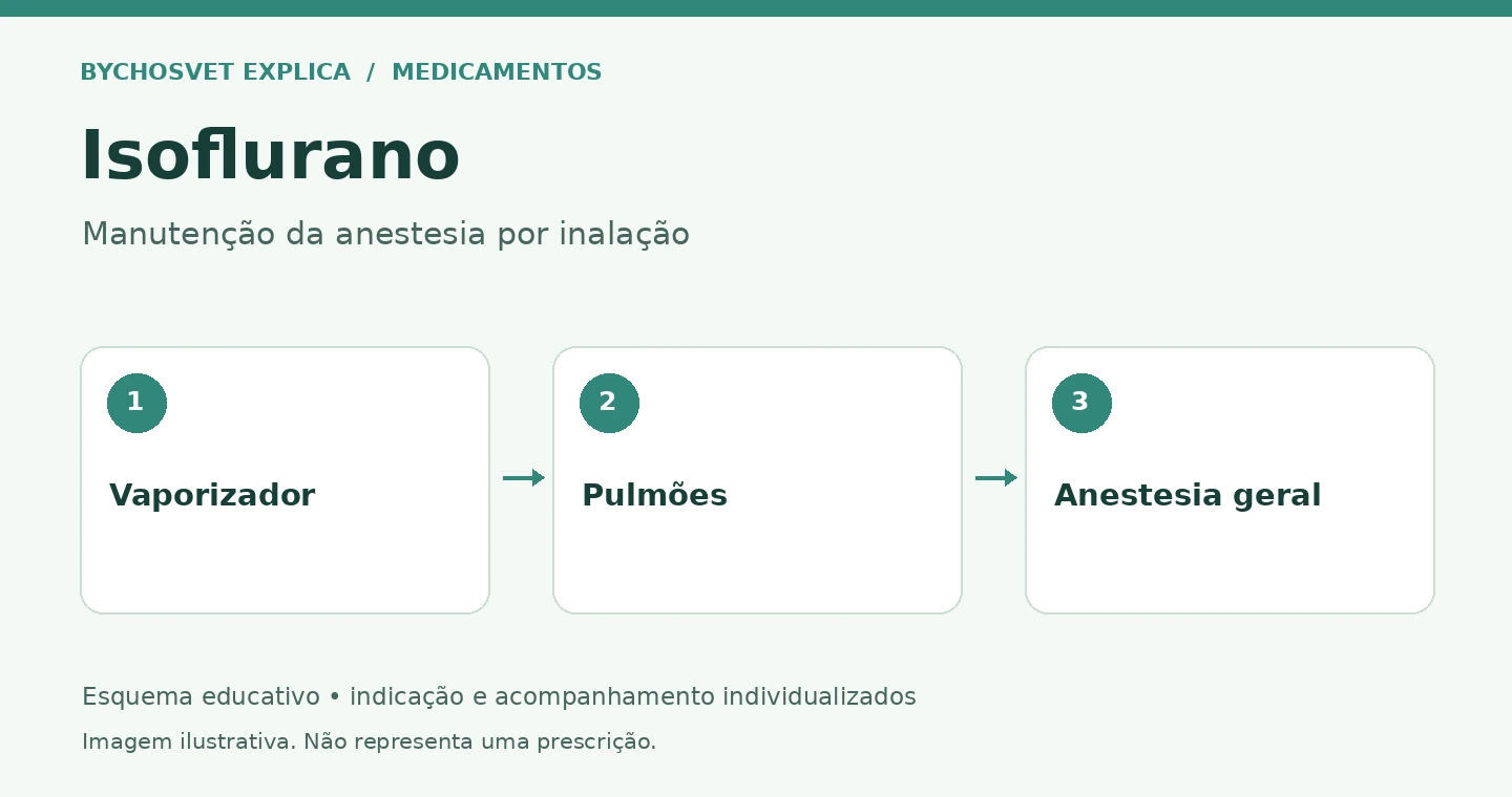 Isoflurano: Vaporizador, Pulmões, Anestesia geral