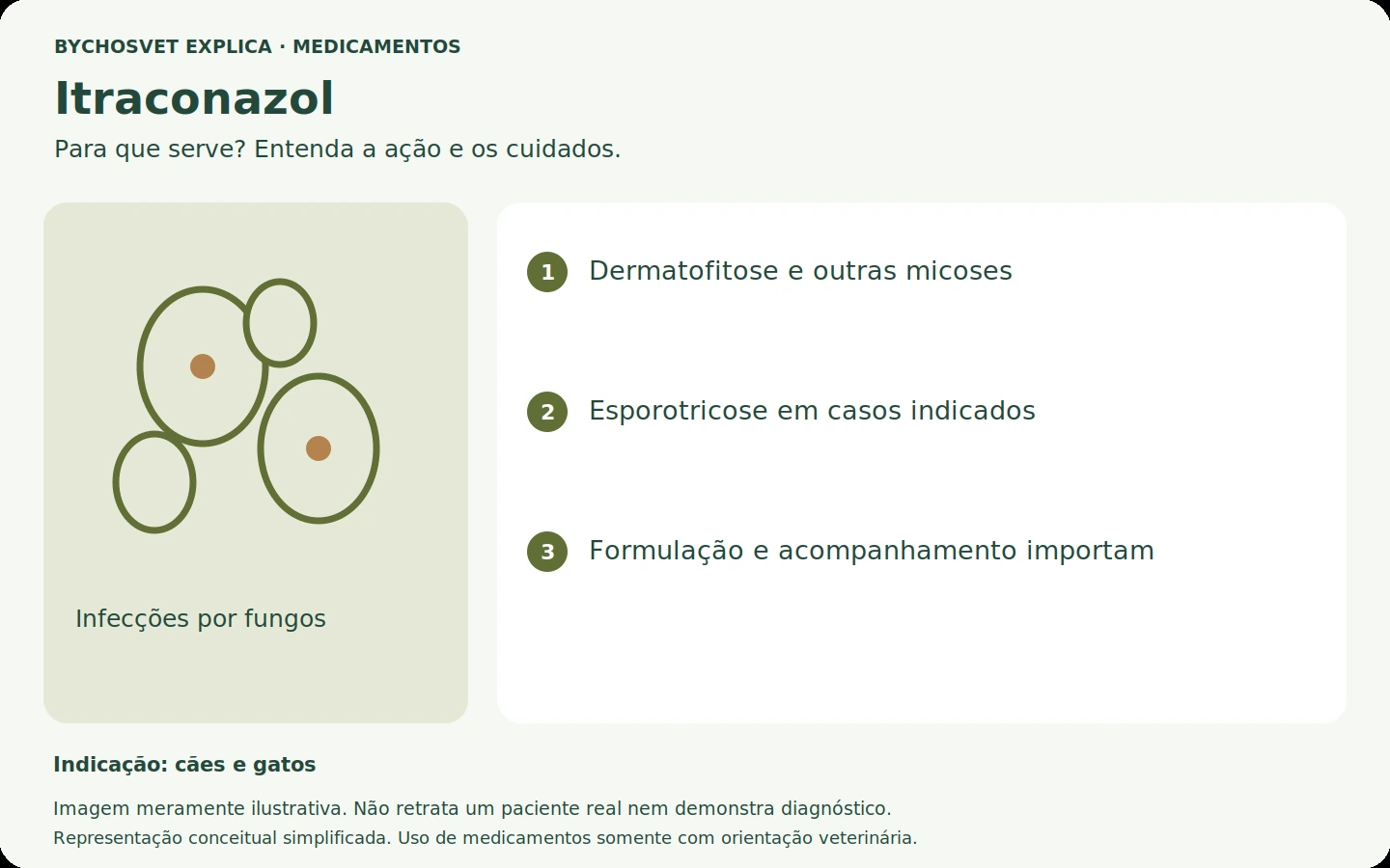 Itraconazol: esquema em português sobre ação, indicações e cuidados.