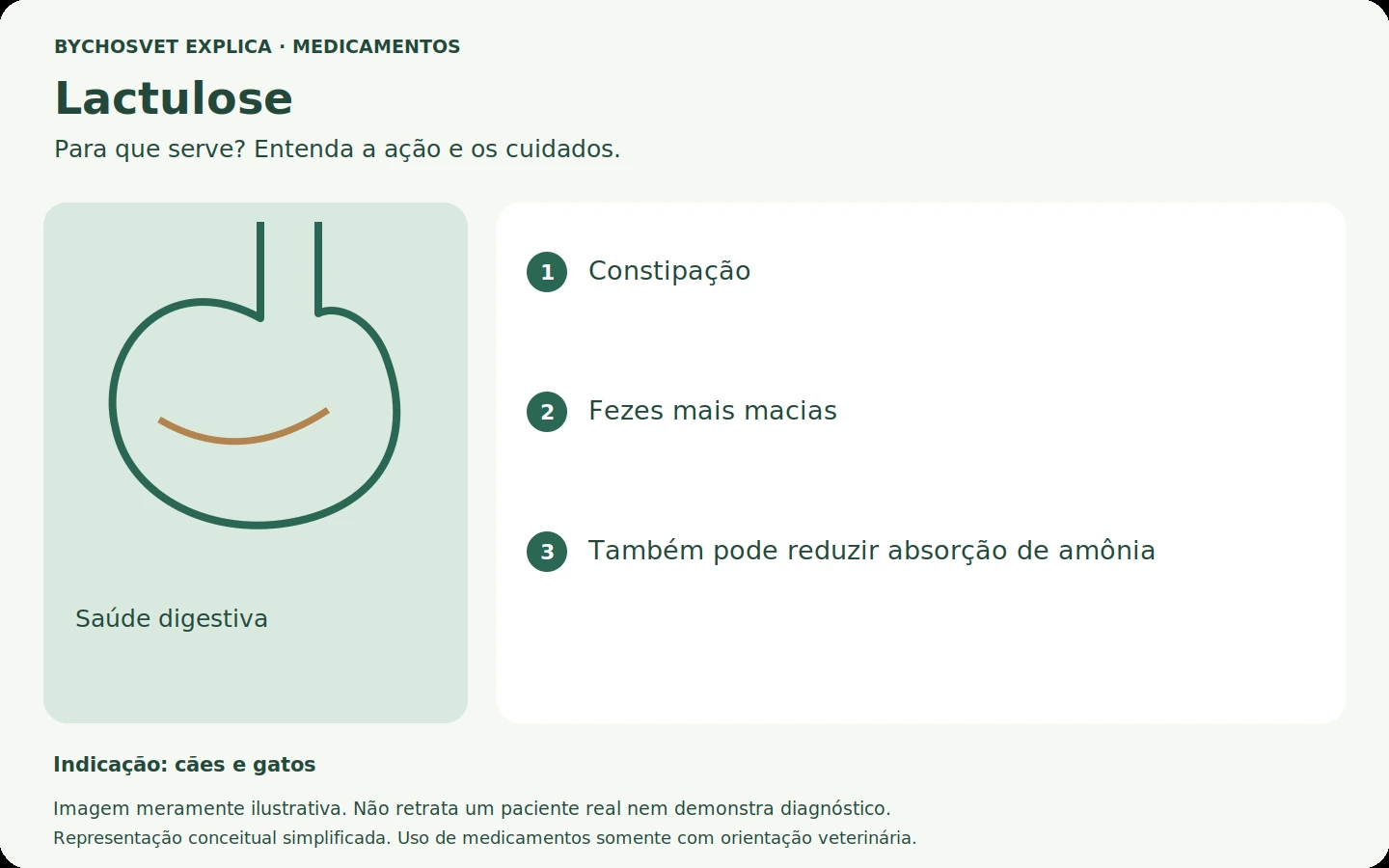 Lactulose: esquema em português sobre ação, indicações e cuidados.