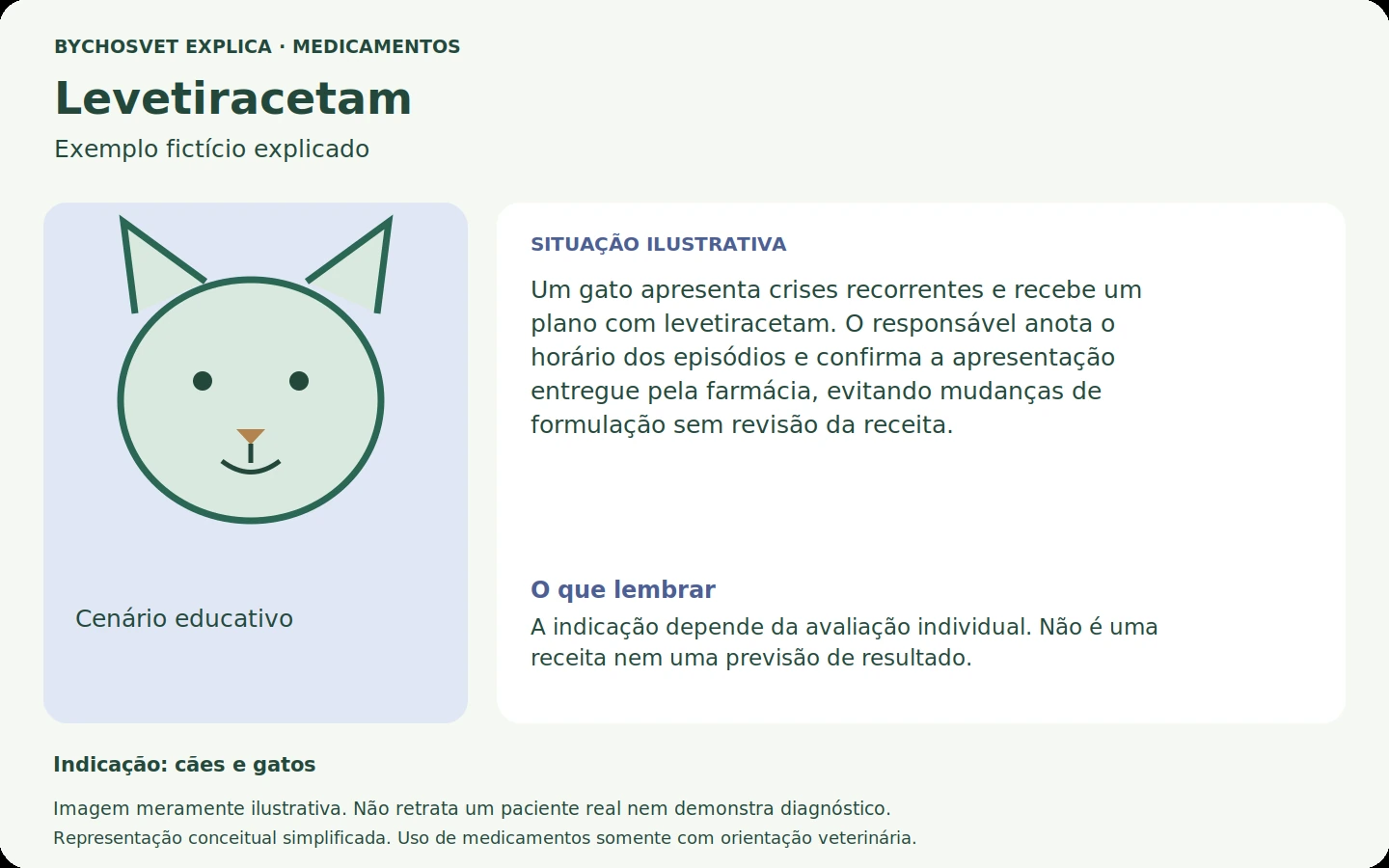 Exemplo fictício em português relacionado ao uso de levetiracetam.
