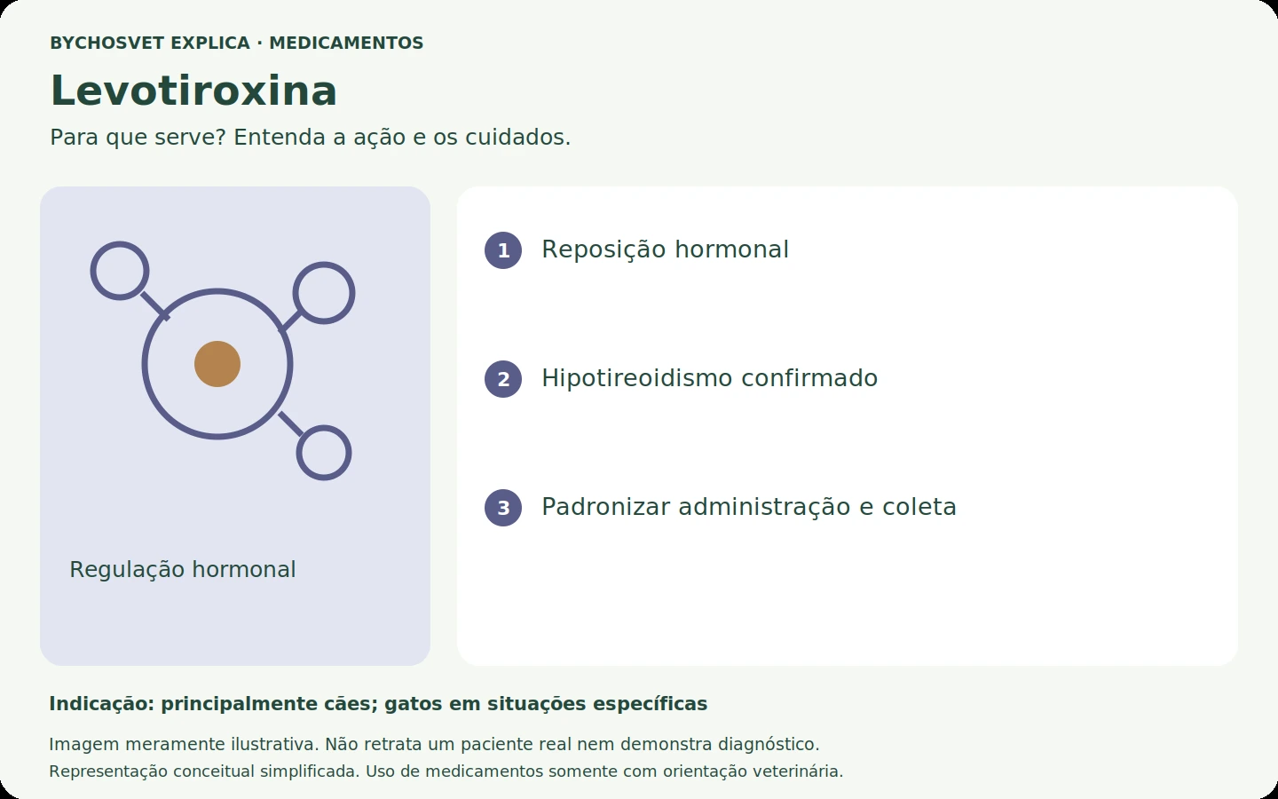 Levotiroxina: esquema em português sobre ação, indicações e cuidados.