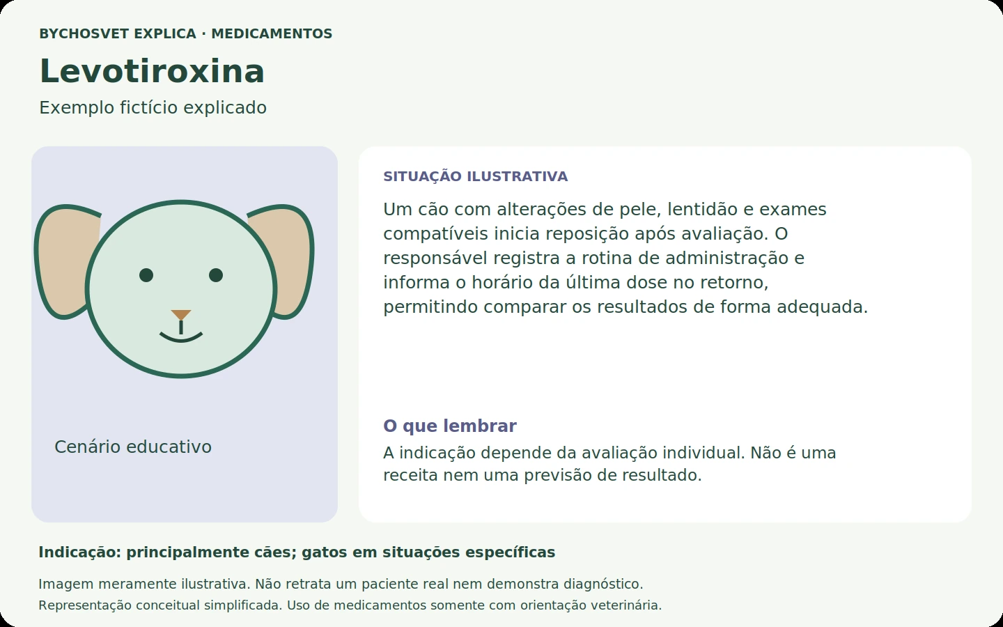 Exemplo fictício em português relacionado ao uso de levotiroxina.