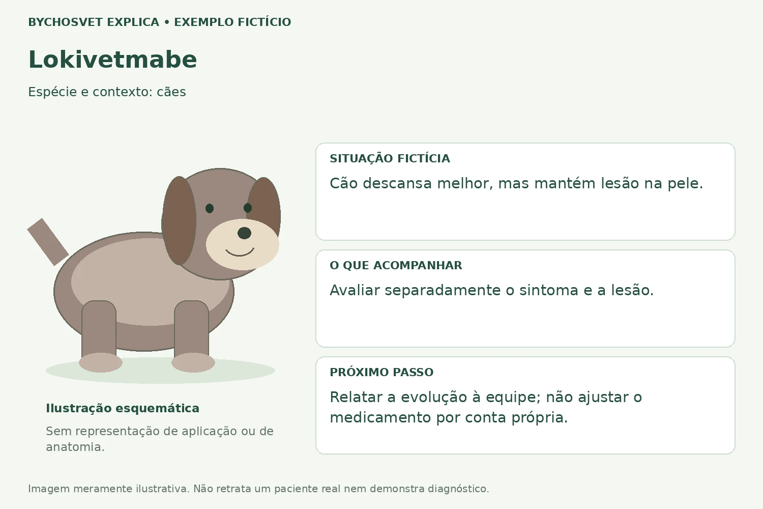 Exemplo fictício de acompanhamento com Lokivetmabe
