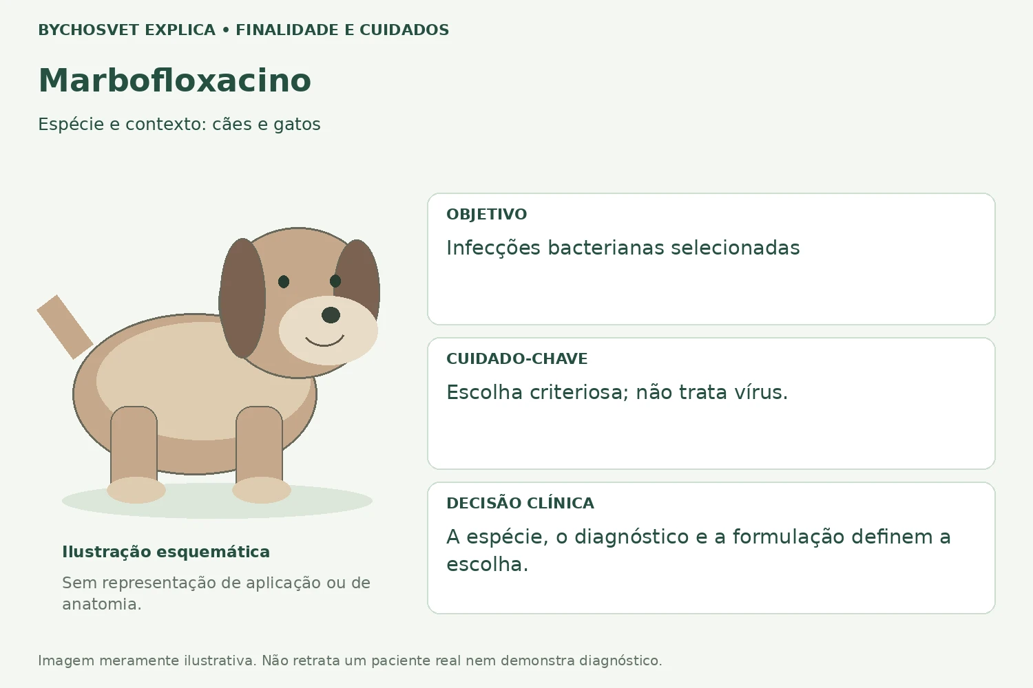 Finalidade e cuidados de Marbofloxacino