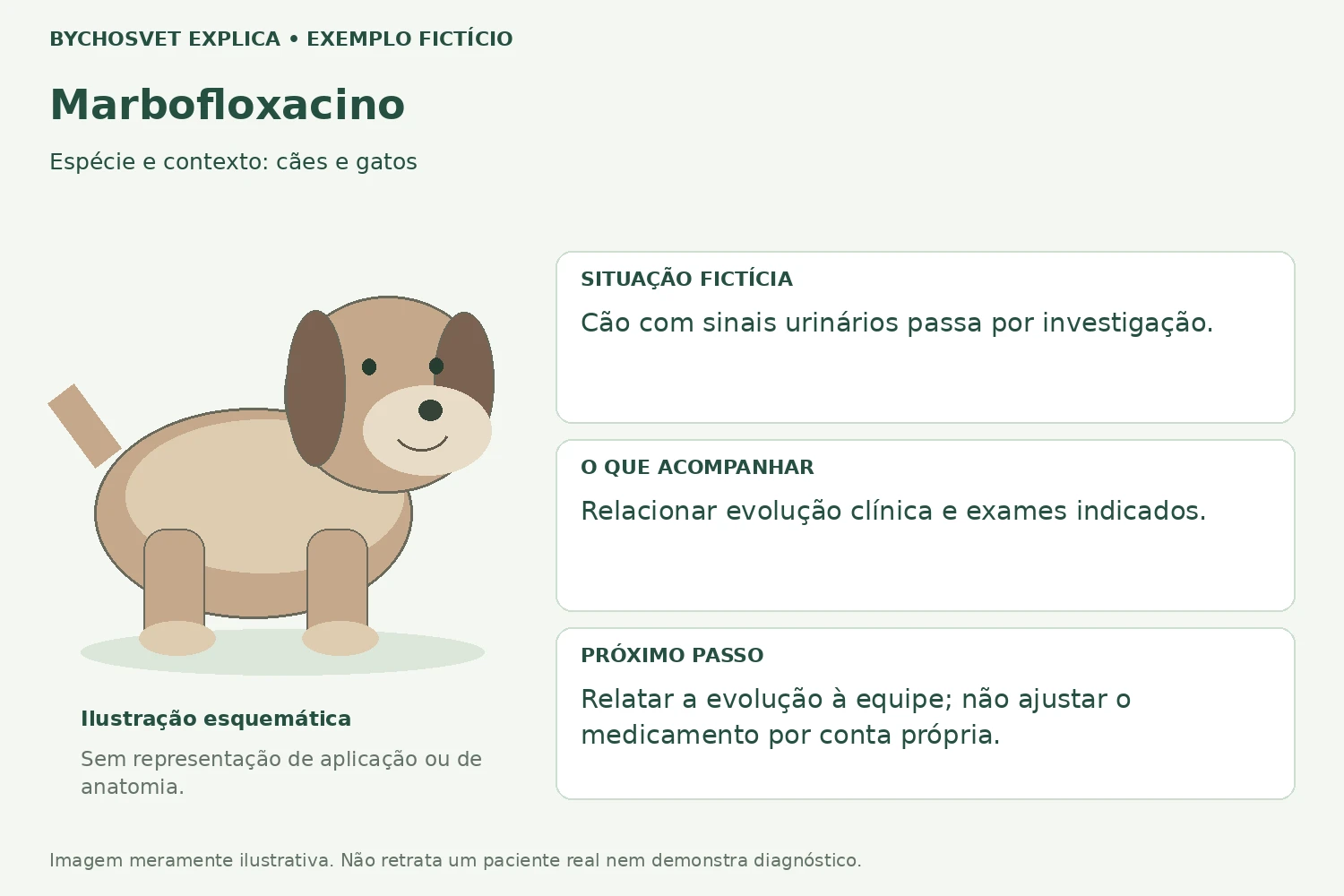 Exemplo fictício de acompanhamento com Marbofloxacino