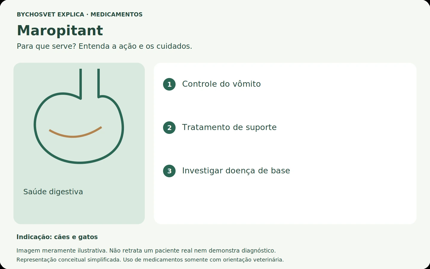 Maropitant: esquema em português sobre ação, indicações e cuidados.