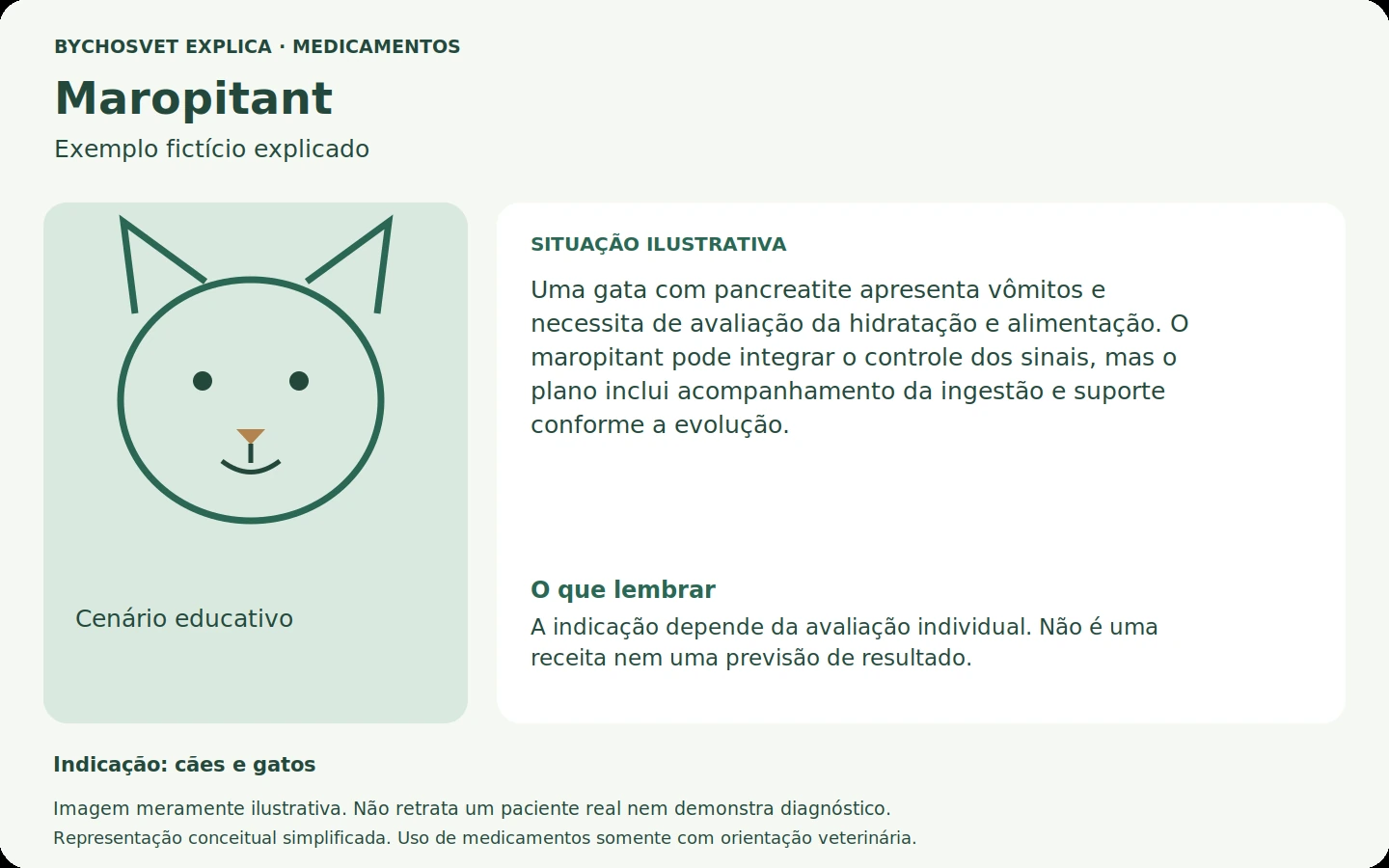 Exemplo fictício em português relacionado ao uso de maropitant.