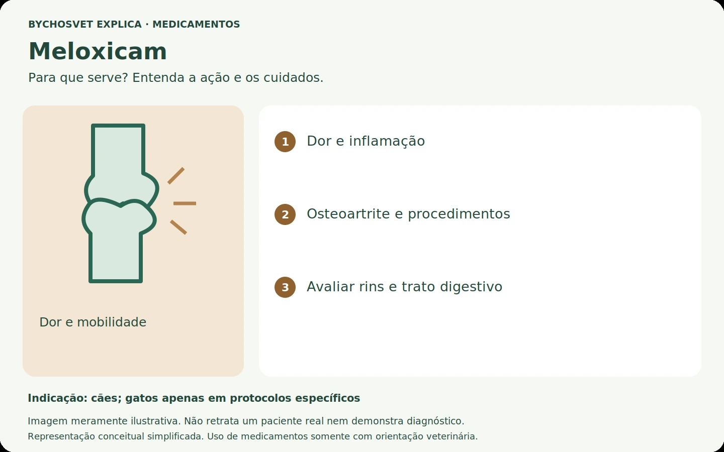 Meloxicam: esquema em português sobre ação, indicações e cuidados.
