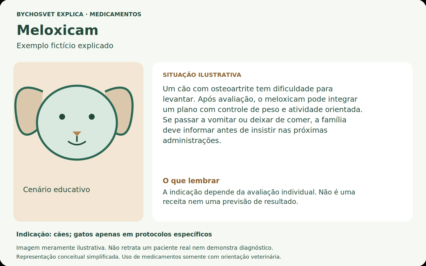 Exemplo fictício em português relacionado ao uso de meloxicam.