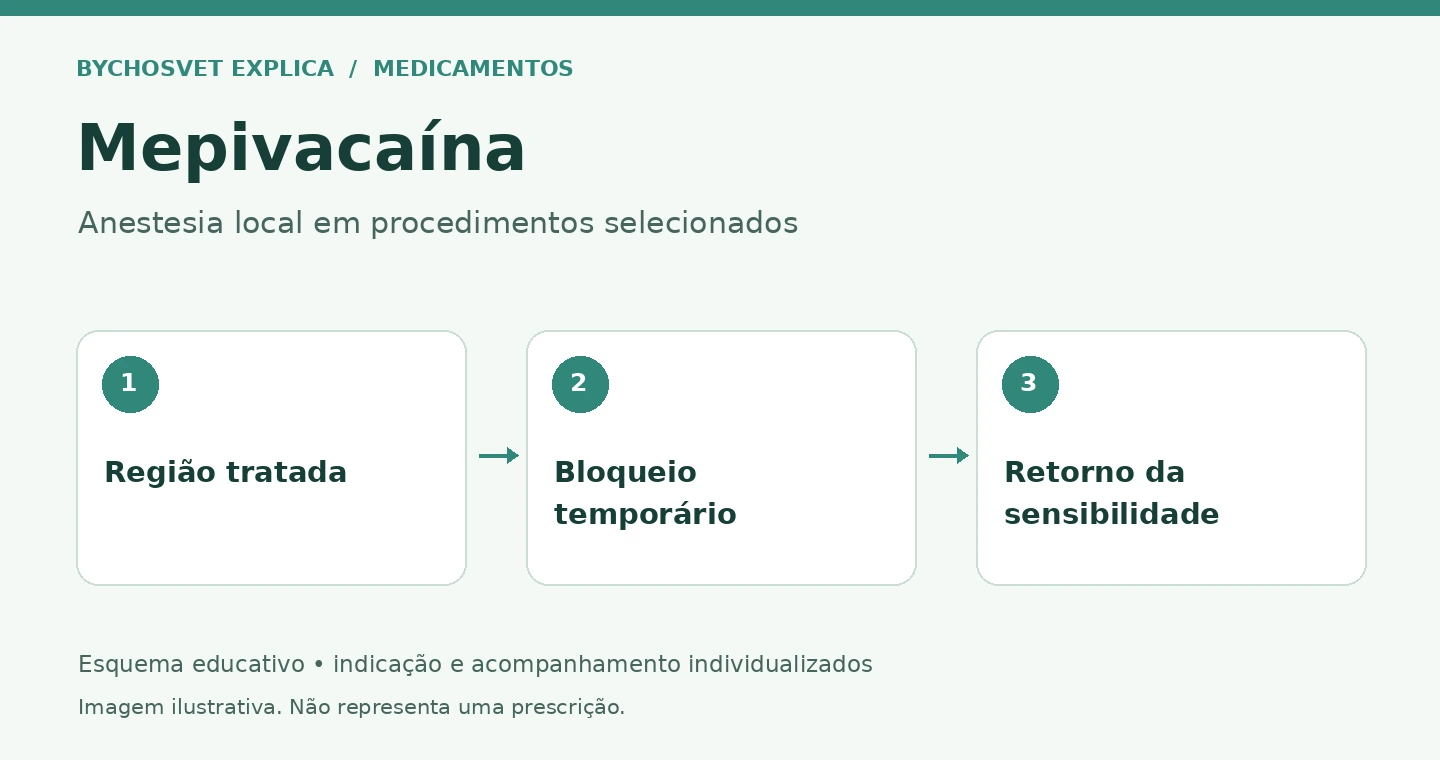 Mepivacaína: Região tratada, Bloqueio temporário, Retorno da sensibilidade