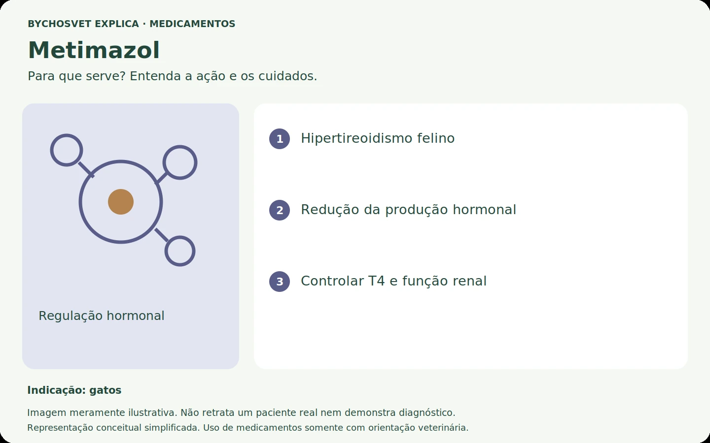 Metimazol: esquema em português sobre ação, indicações e cuidados.