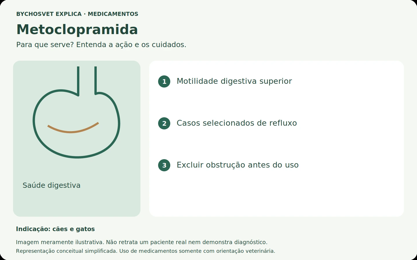 Metoclopramida: esquema em português sobre ação, indicações e cuidados.