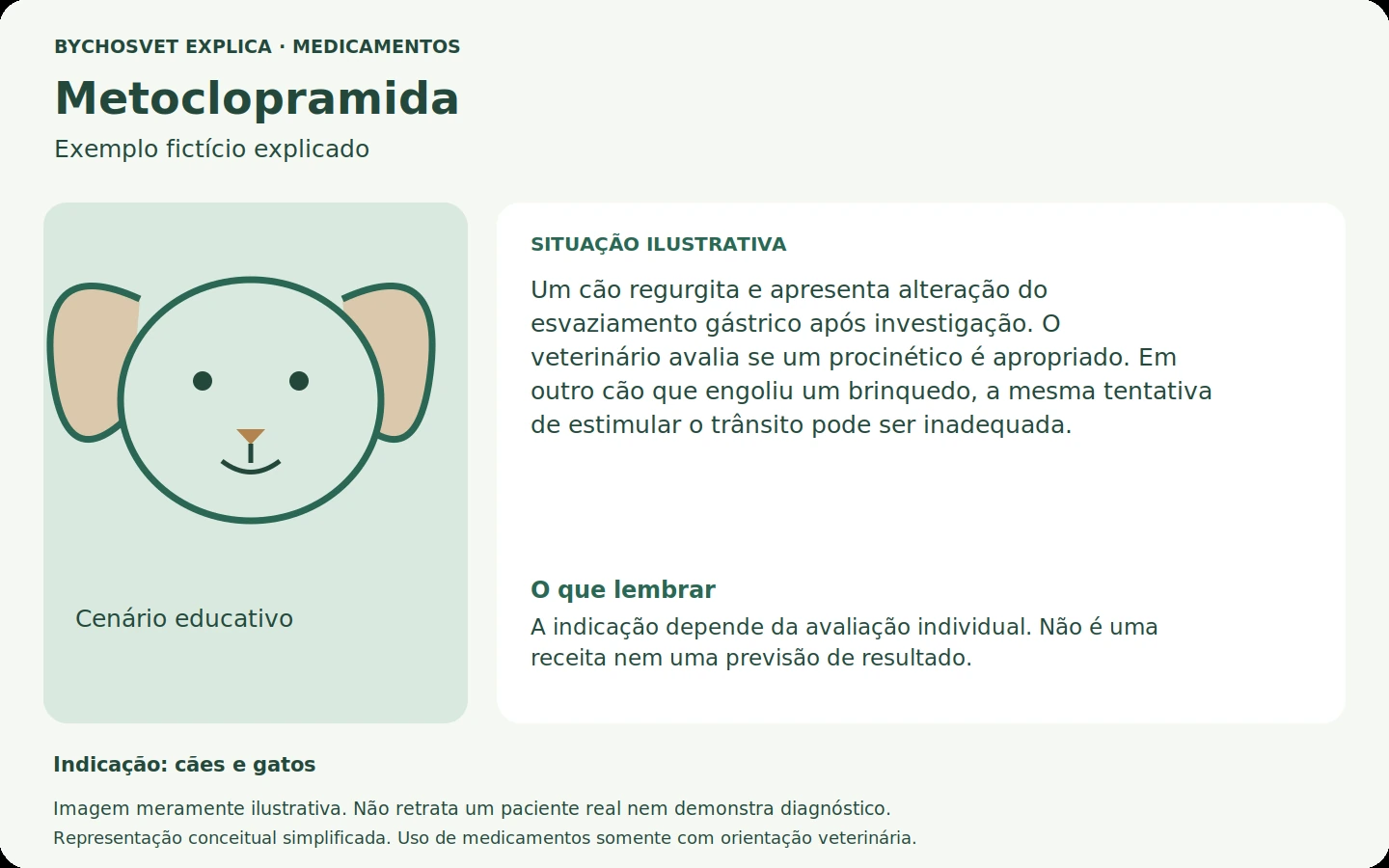 Exemplo fictício em português relacionado ao uso de metoclopramida.