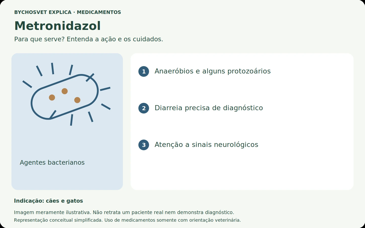 Metronidazol: esquema em português sobre ação, indicações e cuidados.