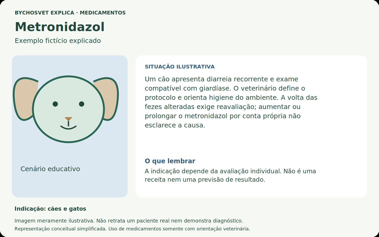 Exemplo fictício em português relacionado ao uso de metronidazol.