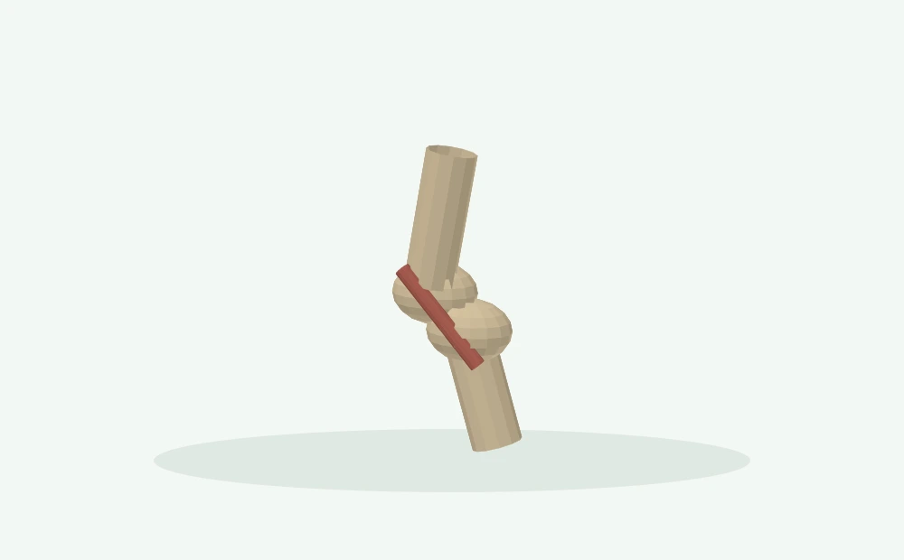 Modelo 3D esquemático: Joelho, ligamentos e estabilidade