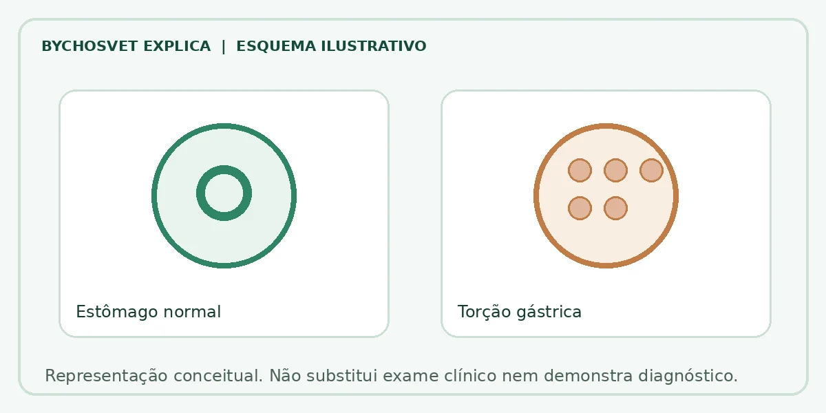 Esquema ilustrativo: Estômago normal em comparação com Torção gástrica