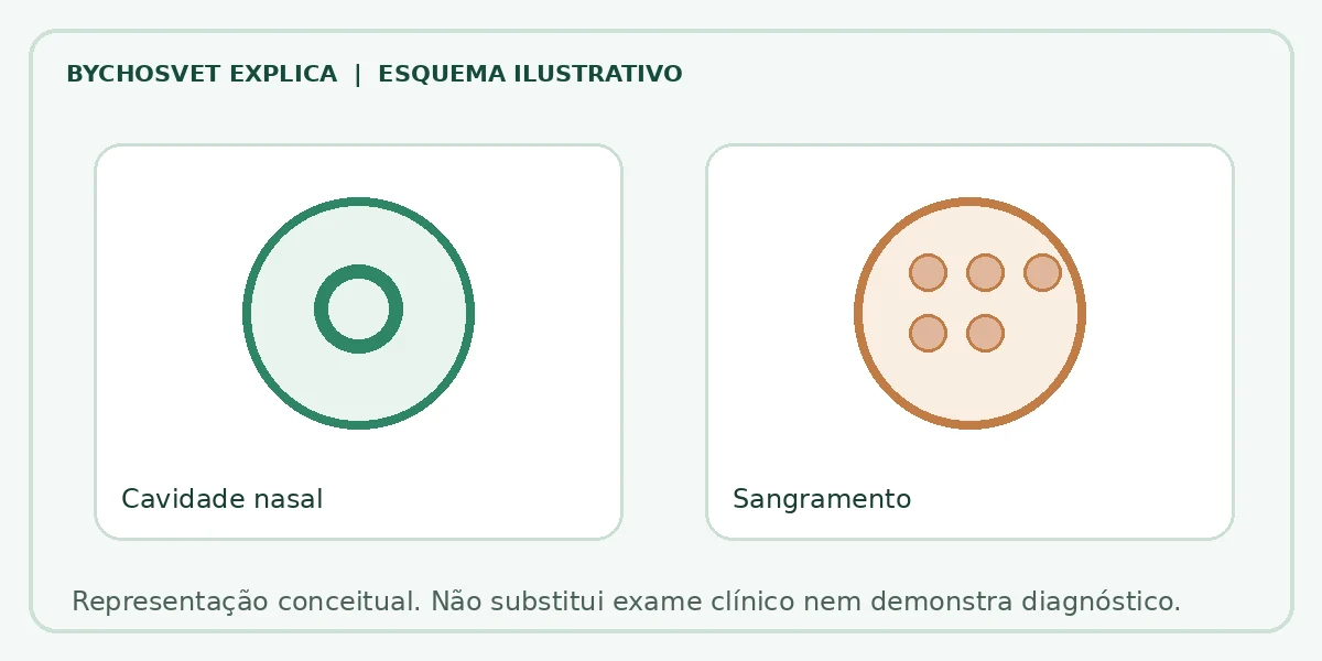 Esquema ilustrativo: Cavidade nasal em comparação com Sangramento