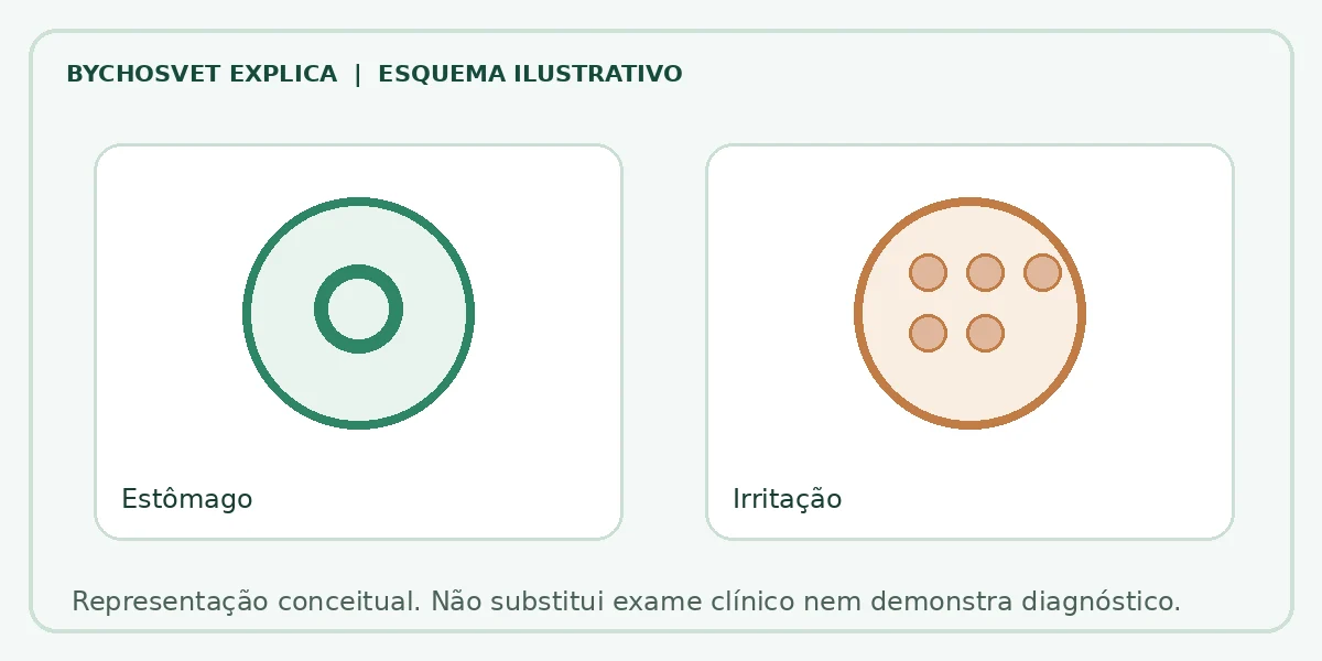 Esquema ilustrativo: Estômago em comparação com Irritação