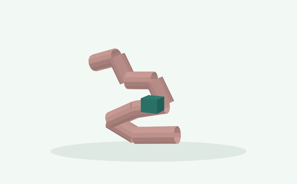 Modelo 3D esquemático: Parede intestinal e amostra de tecido