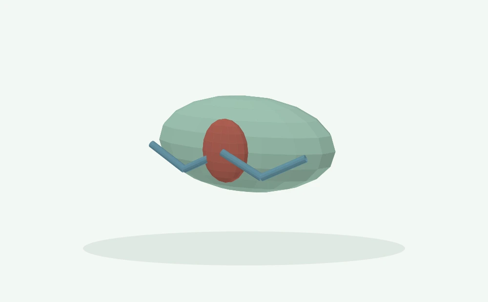 Modelo 3D esquemático: Circulação e perda de consciência