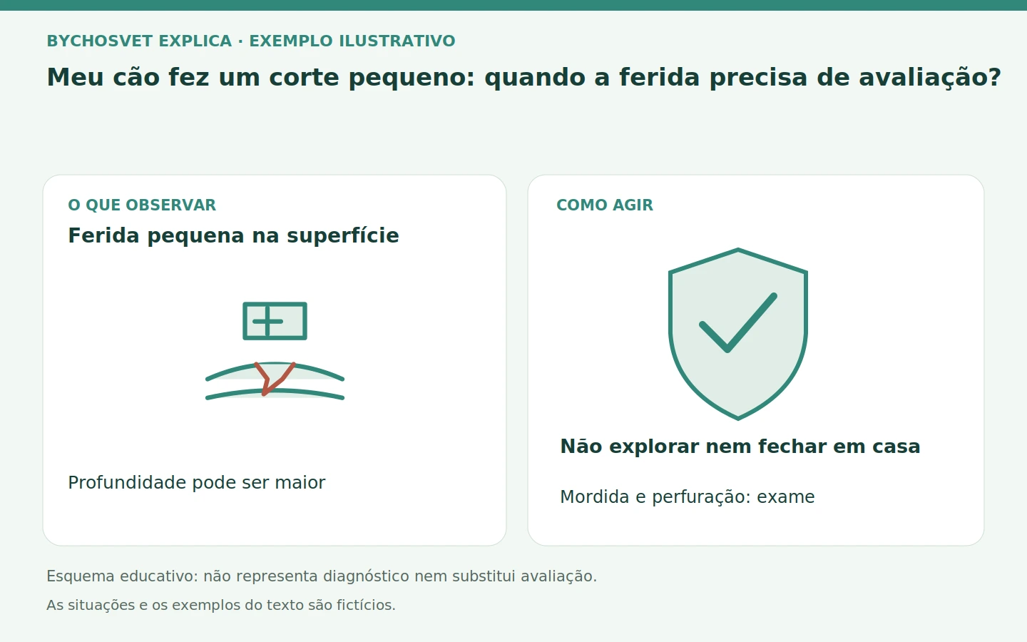 Ferida pequena na superfície: Profundidade pode ser maior. Não explorar nem fechar em casa; Mordida e perfuração: exame