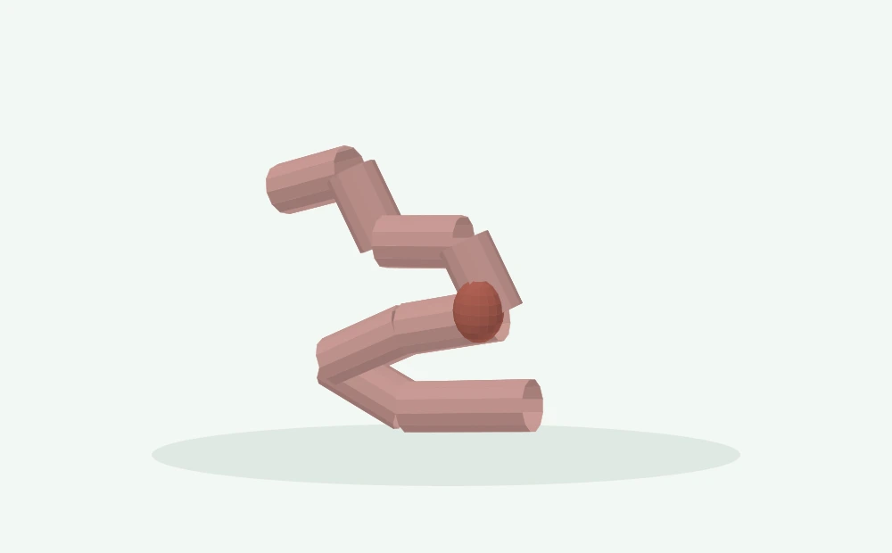 Modelo 3D esquemático: Diafragma e trato digestivo