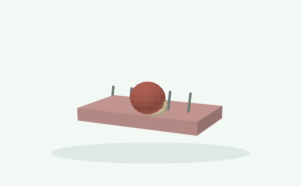 Modelo 3D esquemático: Parede abdominal e abertura umbilical