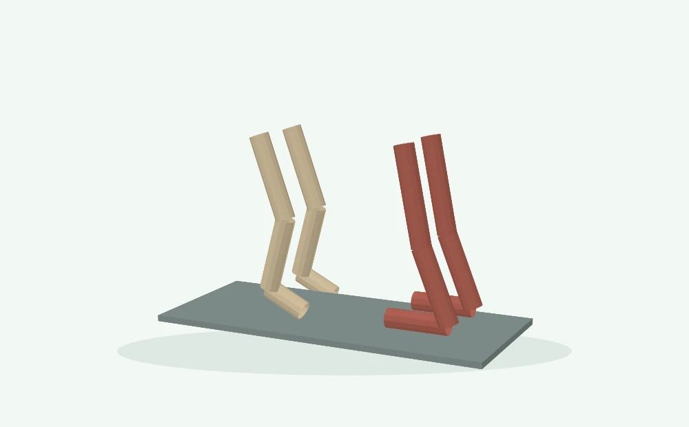 Modelo 3D esquemático: Tarso, apoio e nervos dos membros posteriores