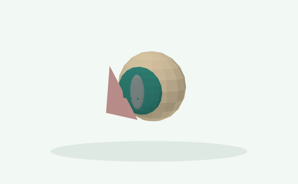 Modelo 3D esquemático: Terceira pálpebra e superfície ocular
