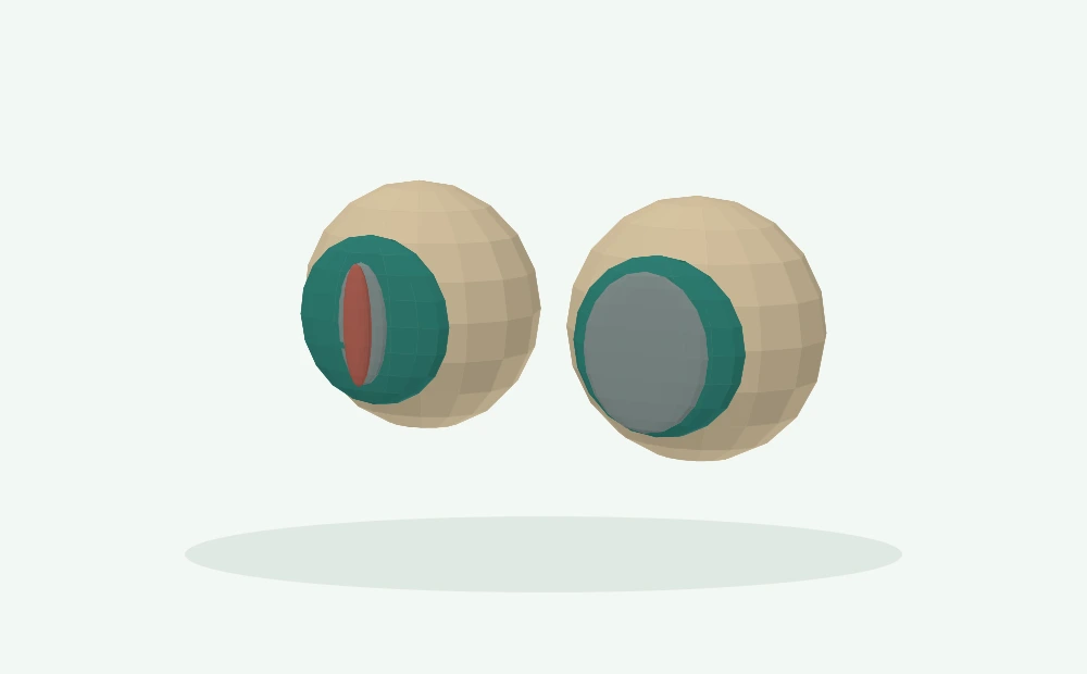 Modelo 3D esquemático: Íris, pupilas e avaliação ocular e neurológica