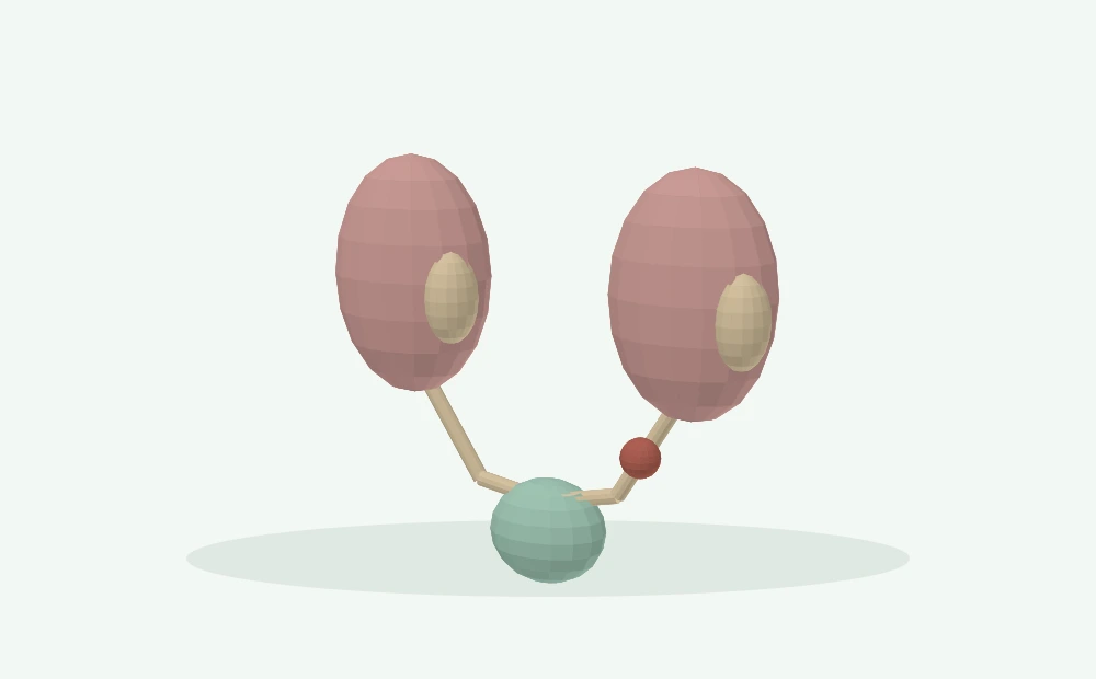 Modelo 3D esquemático: Rim, ureter e fluxo até a bexiga