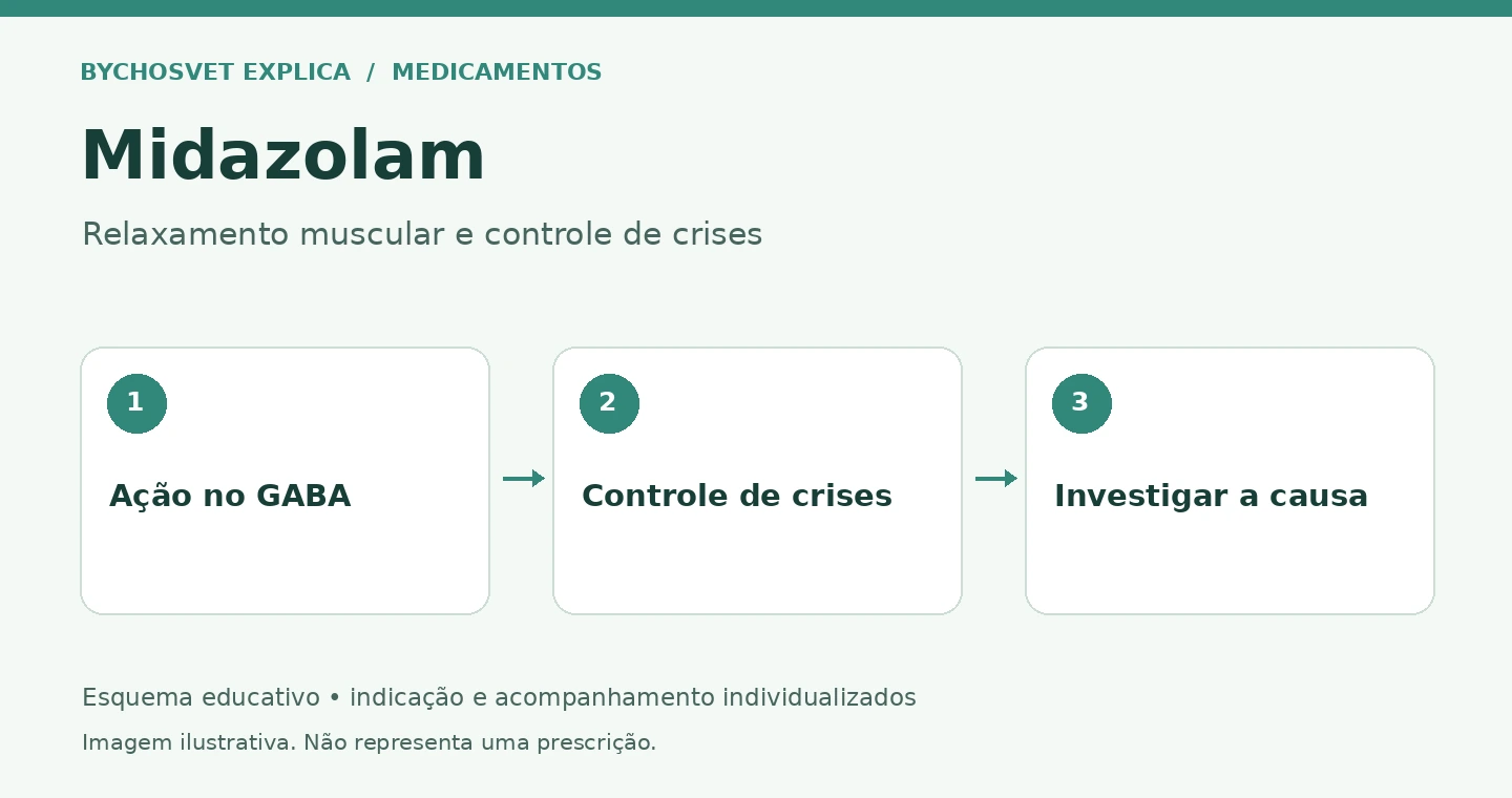 Midazolam: Ação no GABA, Controle de crises, Investigar a causa
