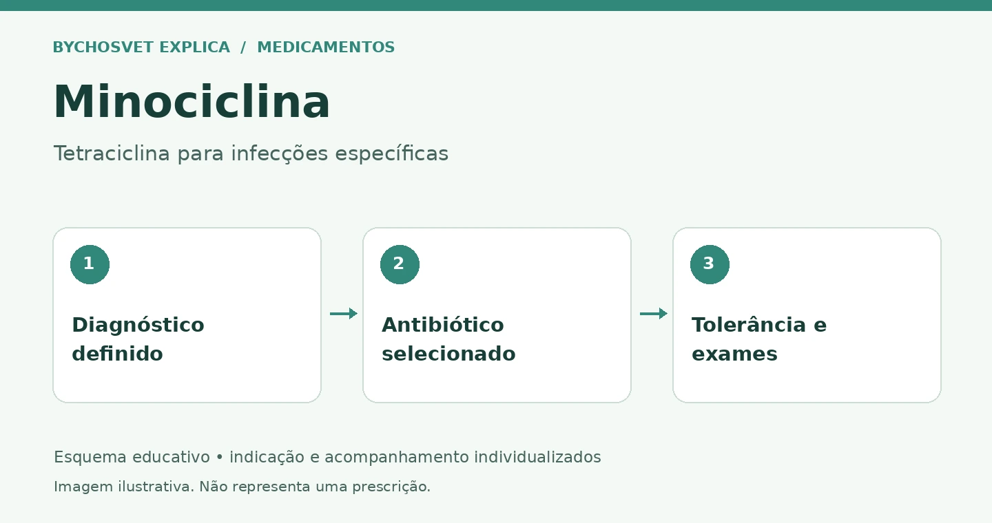 Minociclina: Diagnóstico definido, Antibiótico selecionado, Tolerância e exames