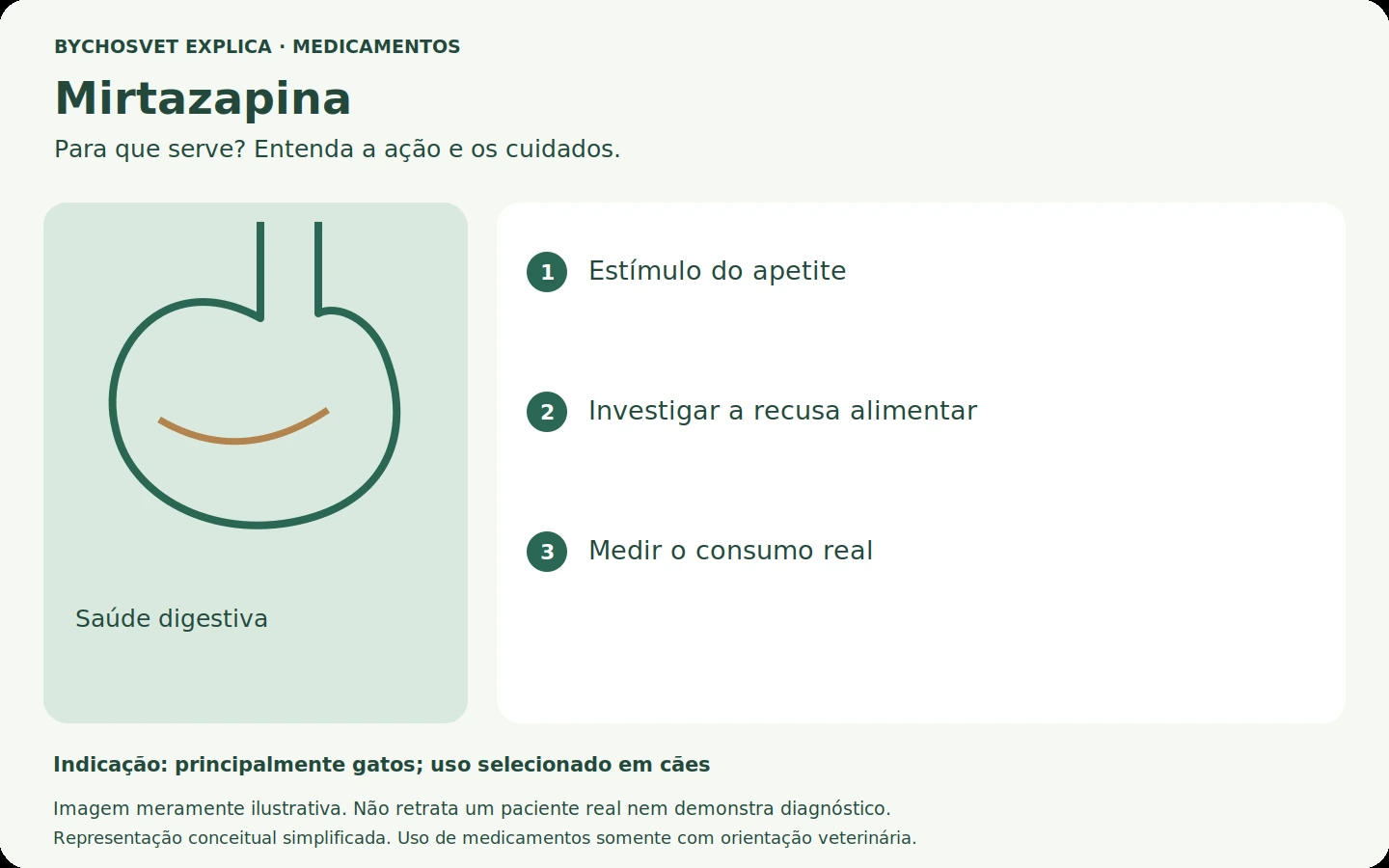 Mirtazapina: esquema em português sobre ação, indicações e cuidados.