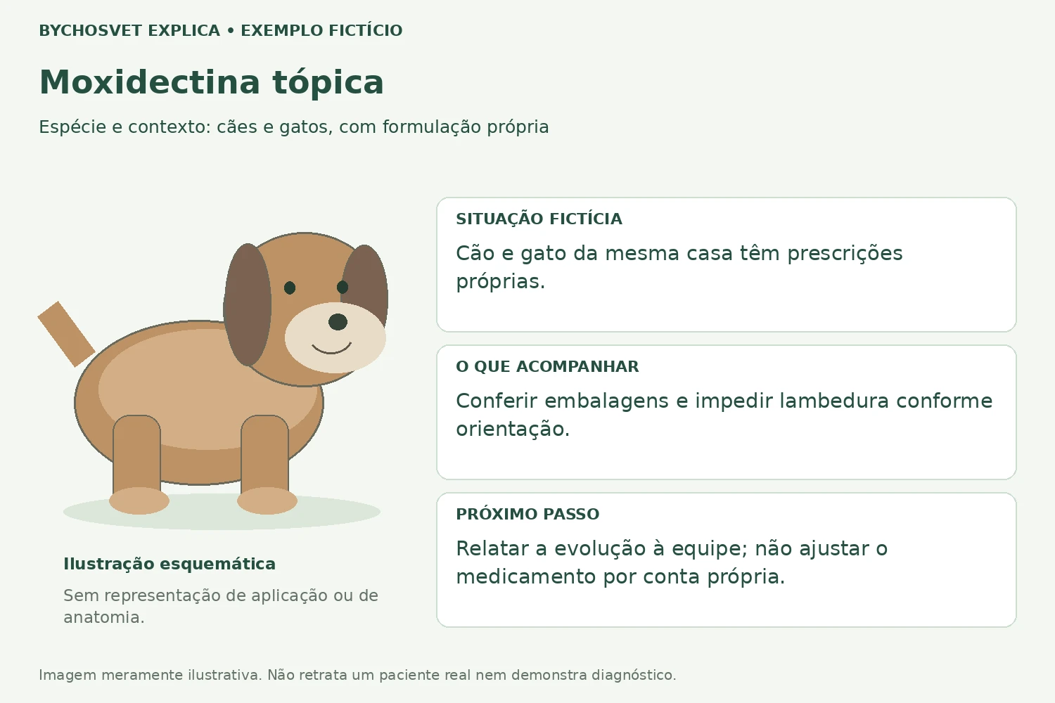 Exemplo fictício de acompanhamento com Moxidectina tópica