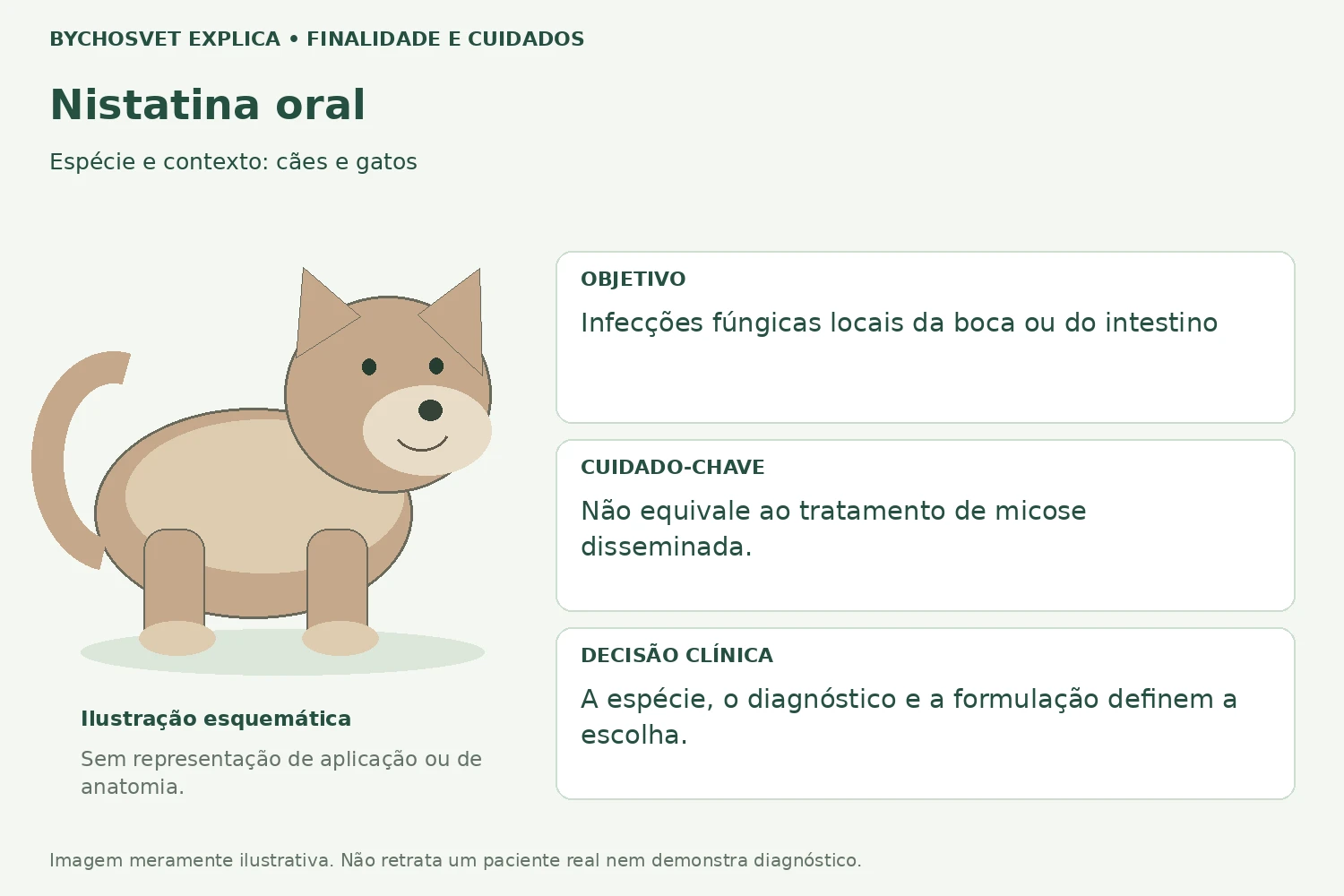 Finalidade e cuidados de Nistatina oral