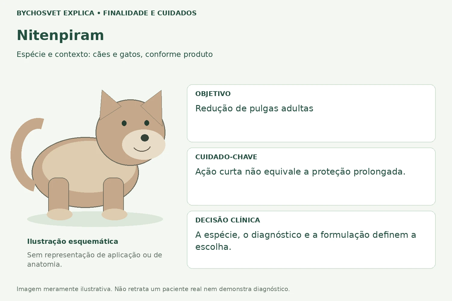 Finalidade e cuidados de Nitenpiram