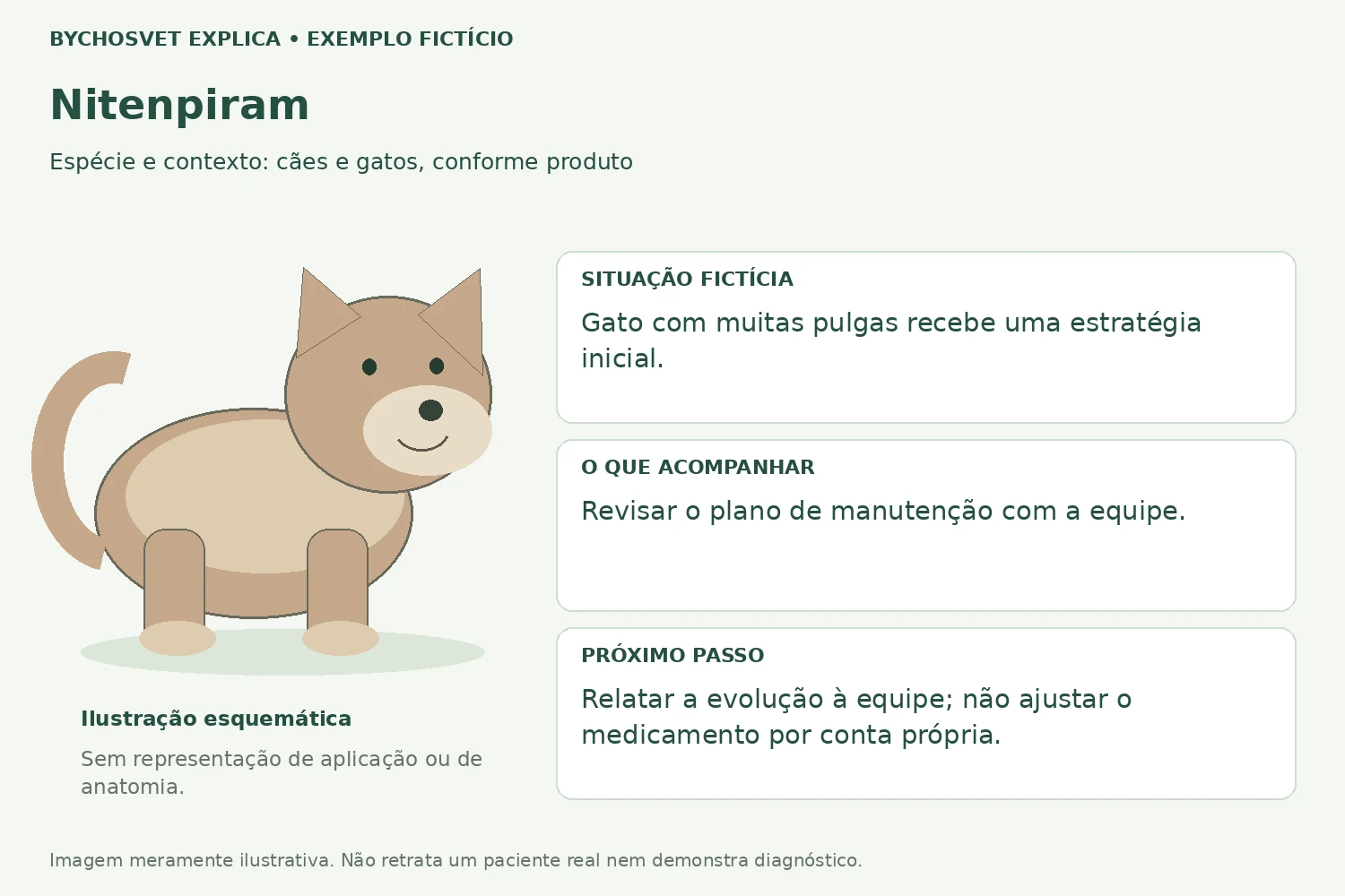 Exemplo fictício de acompanhamento com Nitenpiram