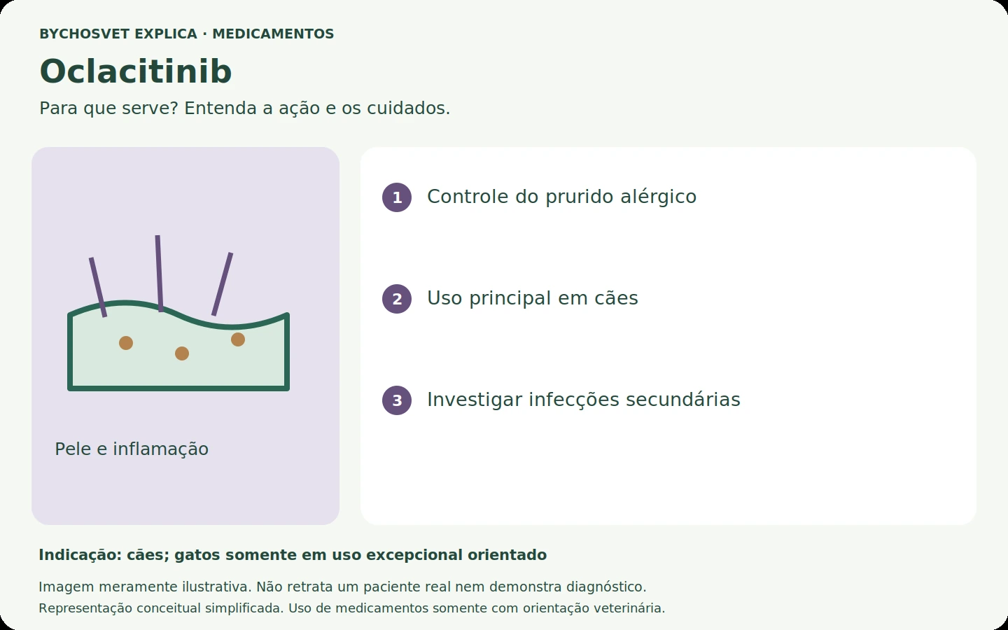 Oclacitinib: esquema em português sobre ação, indicações e cuidados.