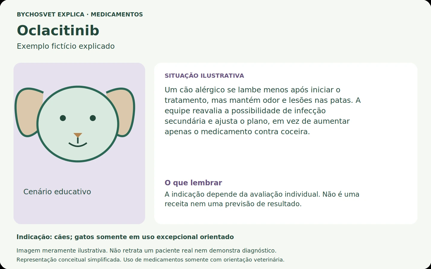 Exemplo fictício em português relacionado ao uso de oclacitinib.