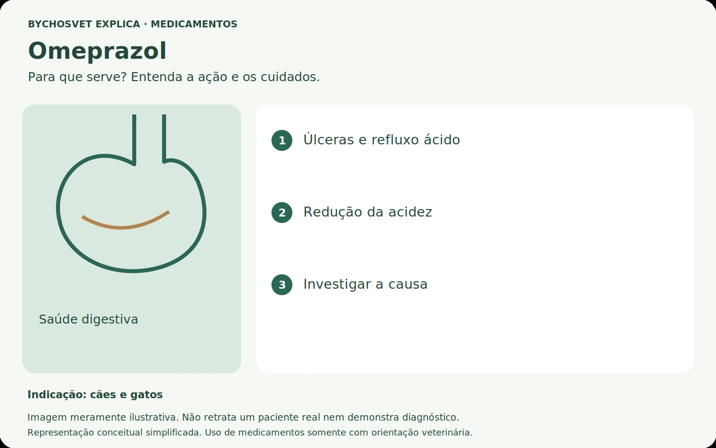 Omeprazol: esquema em português sobre ação, indicações e cuidados.