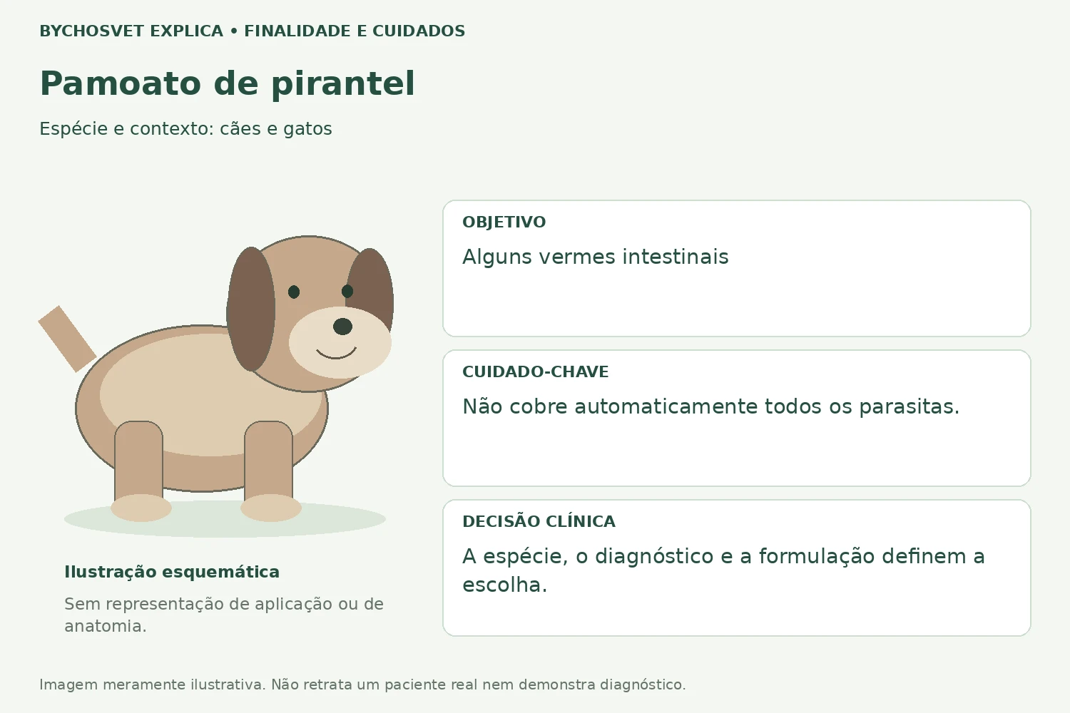 Finalidade e cuidados de Pamoato de pirantel