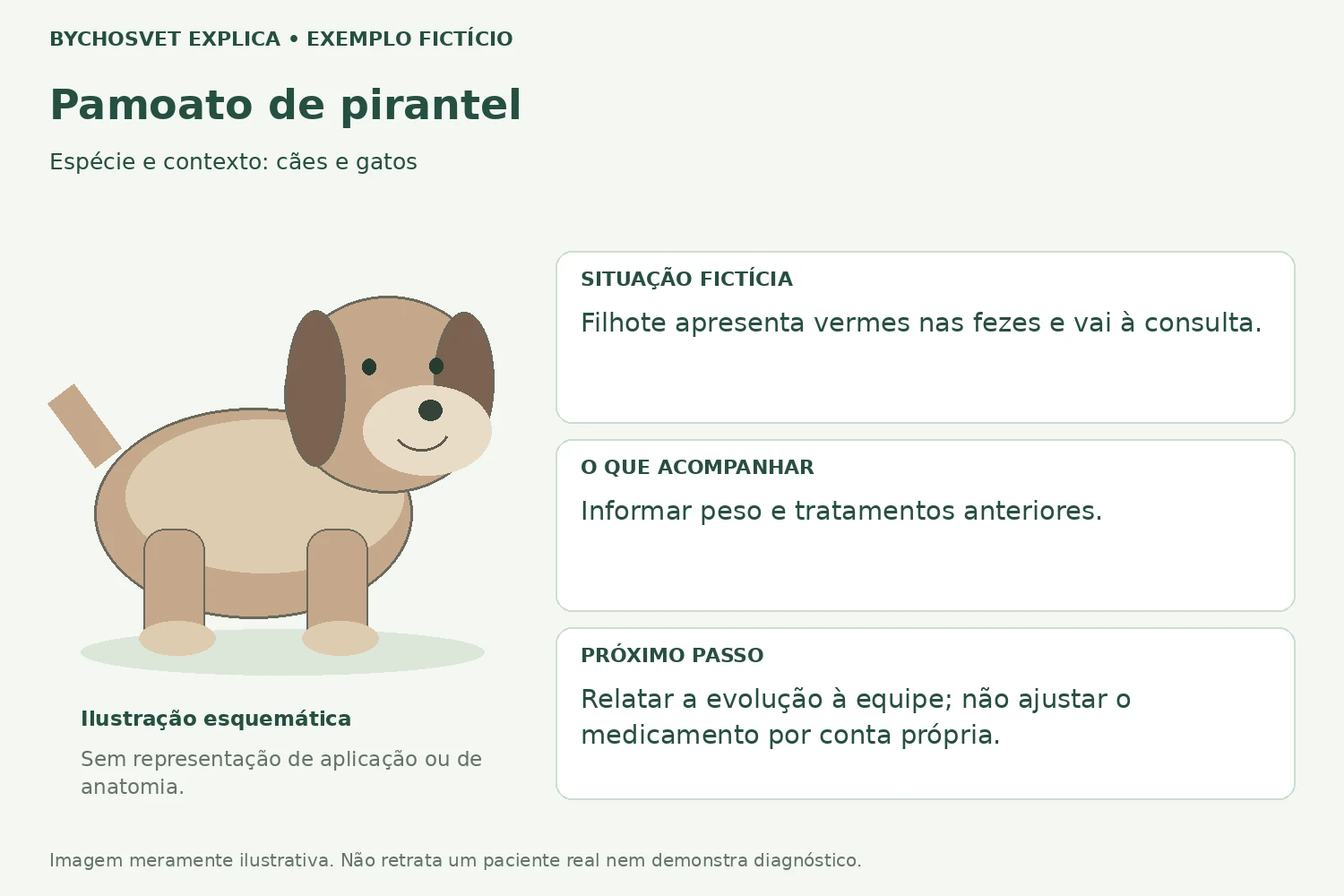 Exemplo fictício de acompanhamento com Pamoato de pirantel