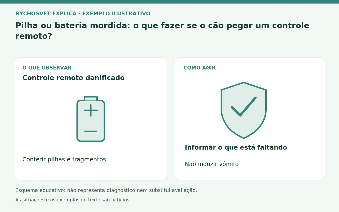 Controle remoto danificado: Conferir pilhas e fragmentos. Informar o que está faltando; Não induzir vômito